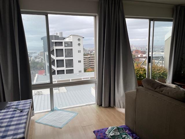 To Let 2 Bedroom Property for Rent in Green Point Western Cape